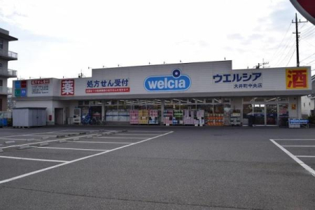 ���ӊ� �y�h���b�O�X�g�A�z�E�G���V�A��䒬�����X�F991�u