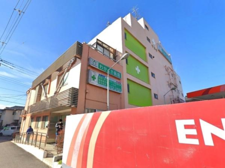 ���ӊ� �y�a�@�z��Ö@�l�L�׉�킩�����a�@�F600�u