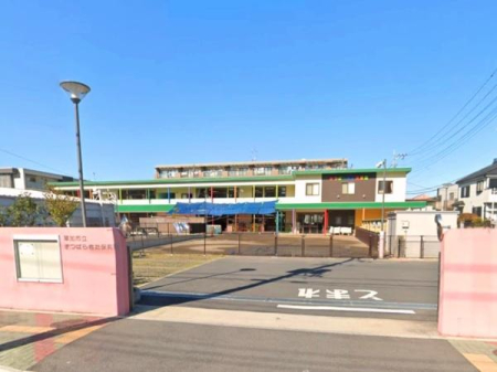 ���ӊ� �y�c�t���E�ۈ牀�z�����s���܂΂炫���ۈ牀�F200�u