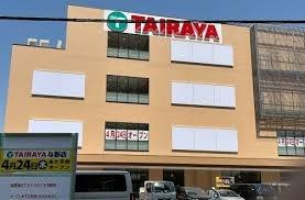 ���ӊ� �y�X�[�p�[�zTAIRAYA�^��X�F550�u