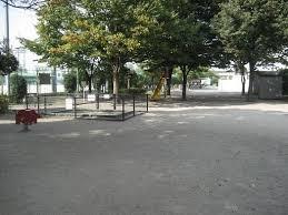 ���ӊ� �y�����z���s�����F1000�u