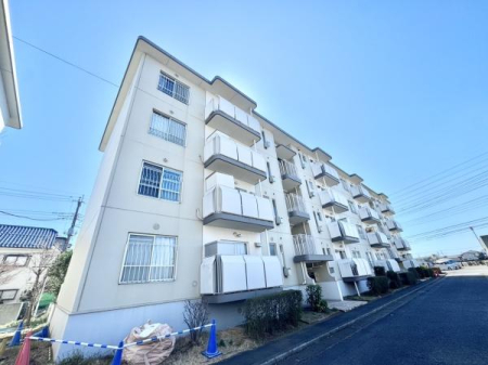 ���̑����n -