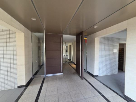 �G���g�����X �I�[�g���b�N�A���j�^�[�t���C���^�[�z�����ڂŖh�Ɩʂ��S�z�ȕ������S�ł��I