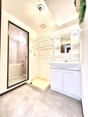 ���ʑ�E���ʏ� ���ʏ��͑����̃N�b�V�����t���A�𒣑ւ��ς݂ł��B