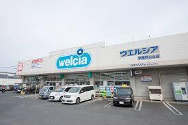 ���ӊ� �y�h���b�O�X�g�A�z�E�G���V�A�V����Ύ~�X�F935�u