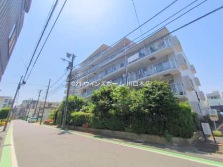 ���̑����n -