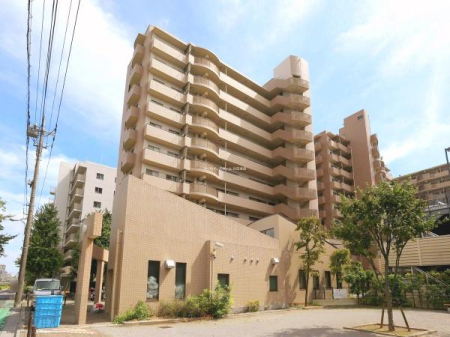 ���̑����n ���ː�164�˂̃r�b�O�R�~���j�e�B�ŊǗ��̐����[���A�C�U�v����ǍD�ł��I�q�ǂ����ɂ���������v���C���[��������܂��I�I�[�g���b�N�V�X�e�����z�{�b�N�X�������I