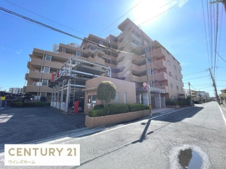 ���n�O�ώʐ^ ��ʍ����S���u��������v�w�k��9���I�����E�ݔ���V�̃t�����t�H�[�������ł��B�y�b�g����\�ł��i�ב�����j