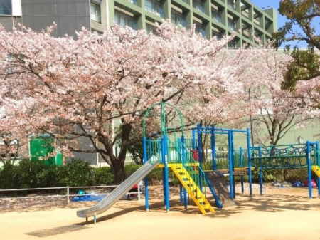 ���ӊ� �y�����z�ԌI�N���[�o�[�����F220�u