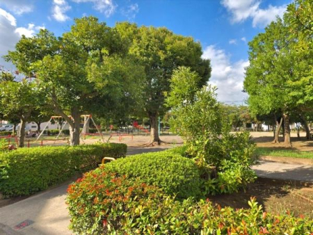 ���ӊ� �y�����z�Œˉz�����F220�u