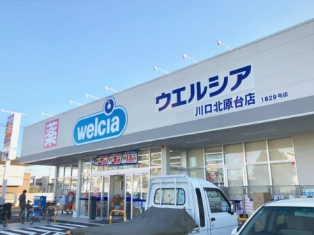 ���ӊ� �y�h���b�O�X�g�A�z�E�G���V�A����k����X�F702�u