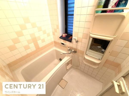 ���� ���t�������Ŋ��C�ǍD�I�L�X�Ƃ��������Ƃ������Z�����o�X�^�u���A�����̔�������Ă���܂��B