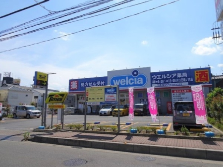 ���ӊ� �y�h���b�O�X�g�A�z�E�G���V�A����Ŕ�m�ܓX�F250�u