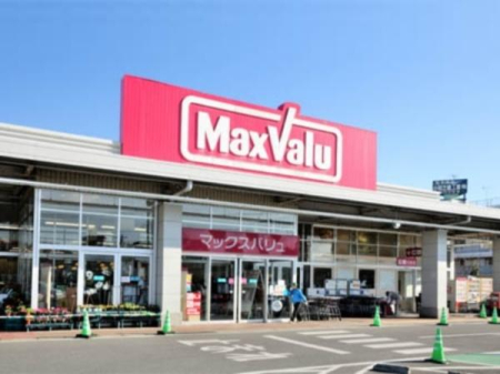 ���ӊ� �y�X�[�p�[�z�}�b�N�X�o�����n�X�F550�u