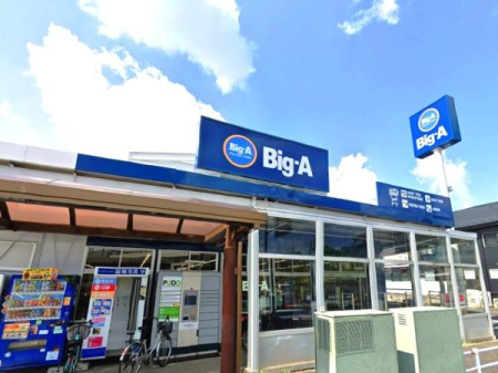 ���ӊ� �y�X�[�p�[�z�r�b�O�E�G�[�Y�a�ғX�F650�u