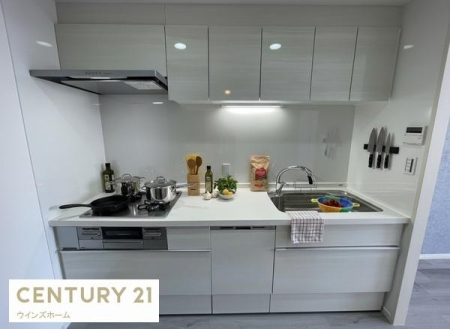 �L�b�`�� �V�K�����ς̃X�^�C���b�V���ȃV�X�e���L�b�`���́A���[�͂Ƌ@�\�������˔����A�������y�����Ȃ��ԁB�������Ȃ�CG�������Ă���܂��B