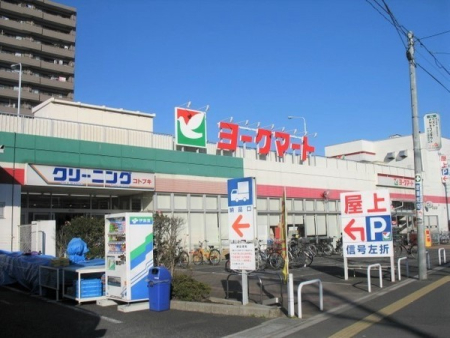 ���ӊ� �y�X�[�p�[�z���[�N�}�[�g���O�X�F520�u