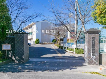 ���ӊ� �y���w�Z�z�n�s���k���w�Z�F980�u