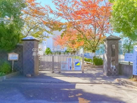 ���ӊ� �y���w�Z�z�n�s���k���w�Z�F800�u