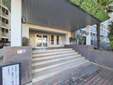 �G���g�����X -