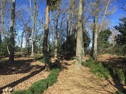 ���ӊ� �y�����z��q���R�Βn�F154�u