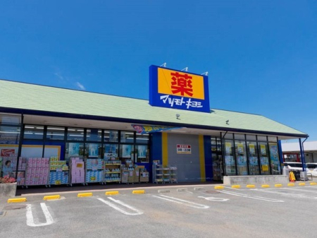 ���ӊ� �y�h���b�O�X�g�A�z�}�c���g�L���V�Y�a��ԖؓX�F668�u