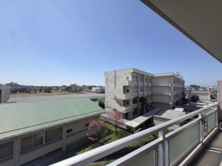 �Z�˂���̒��]�ʐ^ -