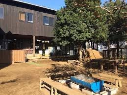 ���ӊ� �y�c�t���E�ۈ牀�z�V���ǂ�񂱕ۈ牀�F706�u