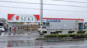 ���ӊ� �y�h���b�O�X�g�A�z�h���b�O�X�g�A�Z�L��ԖؓX�F540�u