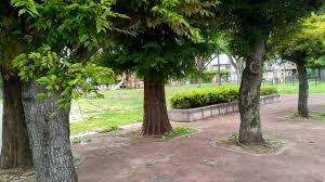 ���ӊ� �y�����z�����6�����F60�u