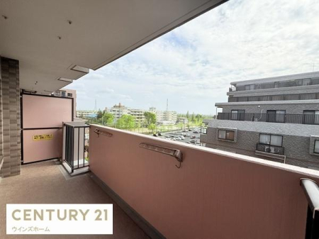 �o���R�j�[ ���󕨂�z�c��������花����L���̓쐼�������C�h�o���R�j�[�B�֎q��e�[�u����u���Ċ����̃X�y�[�X�ɂ��Ȃ�L�X��ԁI