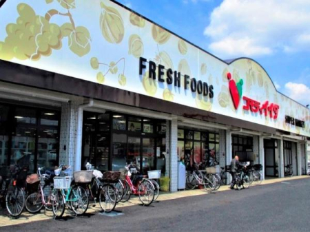 ���ӊ� �y�X�[�p�[�z�R���f�B�C�C�_�Y���X�F450�u