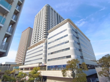 ���̑����n -