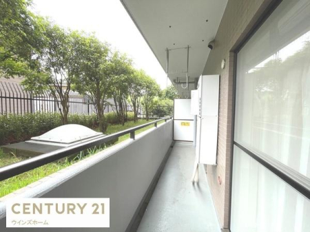 �o���R�j�[ �z������ǍD�ȃo���R�j�[�B���󕨂������Ղ花���āA���������K�ł��B