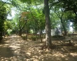 ���ӊ� �y�����z���������F130�u