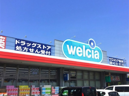���ӊ� �y�h���b�O�X�g�A�z�E�G���V�A����Ɋ��X�F494�u