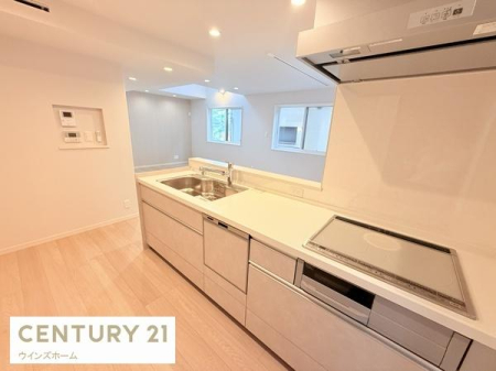 �L�b�`�� �J�����̂���ΖʃJ�E���^�[�L�b�`�����̗p�B�V���N�A������͍L�X�Ƃ��Ďg�����肪����܂��B���r���O�E�_�C�j���O�Ƃ̈�̊�������A���Ƒ��Ƃ̂Ȃ���������Ȃ��炨�������y���߂܂��B