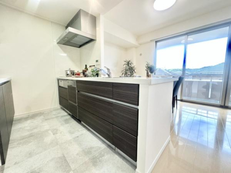 �L�b�`�� �J�����̂���ΖʃJ�E���^�[�L�b�`�����̗p�B�V���N�A������͍L�X�Ƃ��Ďg�����肪����܂��B���r���O�E�_�C�j���O�Ƃ̈�̊�������A���Ƒ��Ƃ̂Ȃ���������Ȃ��炨�������y���߂܂��B