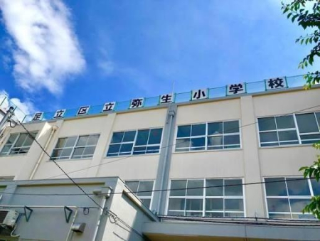 ���ӊ� �y���w�Z�z�����旧�퐶���w�Z�F230�u
