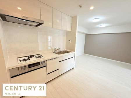 �L�b�`�� �V�K�����ς̃X�^�C���b�V���ȃV�X�e���L�b�`���́A���[�͂Ƌ@�\�������˔����A�������y�����Ȃ��ԁB