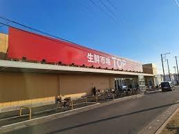 ���ӊ� �y�X�[�p�[�zTOP�@�c�R�m���X�F375�u