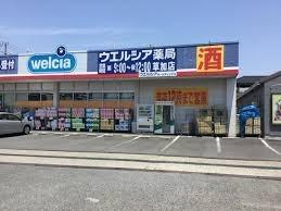 ���ӊ� �y�h���b�O�X�g�A�z�E�G���V�A������ǁF240�u