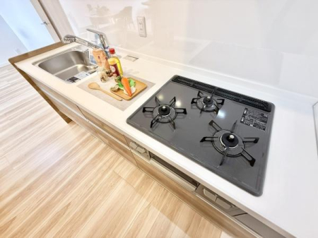 �L�b�`�� �V�X�e���L�b�`���͐V�K�����ς݂Ȃ̂Ńs�J�s�J�ł��B�������ɏW���ł���Ǖt���^�C�v���̗p���܂����I�r���g�C���򐅊�������������@�\�^�C�v�ƂȂ��Ă��܂��I