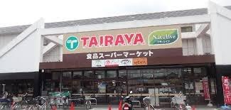 ���ӊ� �y�X�[�p�[�zTAIRAYA�����X�F1100�u