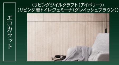 ���d�l�ʐ^(���r���O�j �G�R�J���b�g���̗p�����A�㎿�ŃX�^�C���b�V���ȋ�ԁB