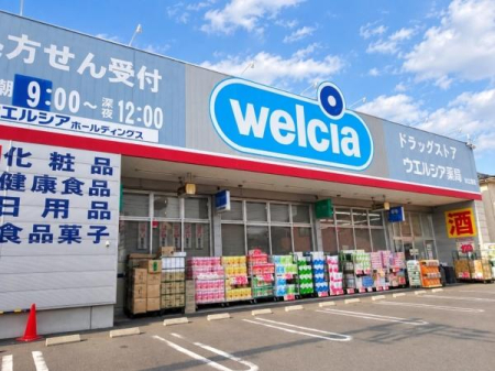 ���ӊ� �y�h���b�O�X�g�A�z�E�G���V�A����k���X�F400�u