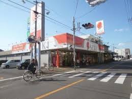 ���ӊ� �y�h���b�O�X�g�A�z�h���b�O�X�g�A�Z�L�����J�X�F355�u