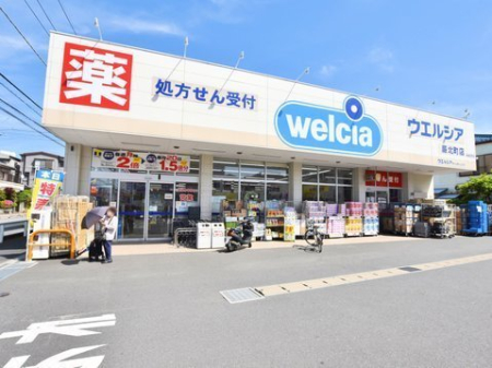 ���ӊ� �y�h���b�O�X�g�A�z�E�G���V�A�n�k���X�F480�u